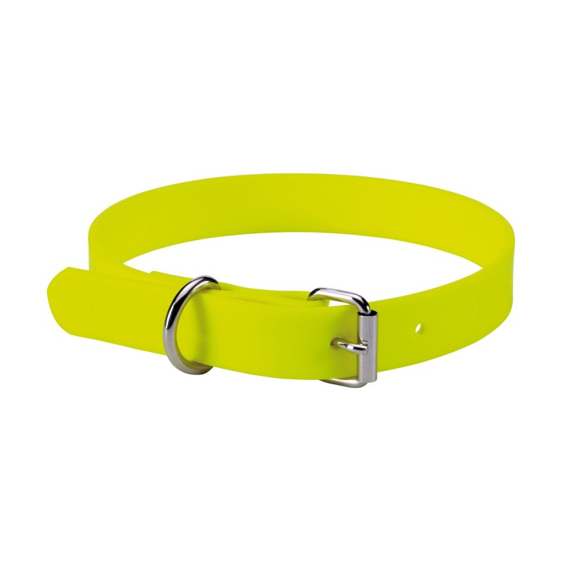 Collier renforcé pour chien : sécurité et confort