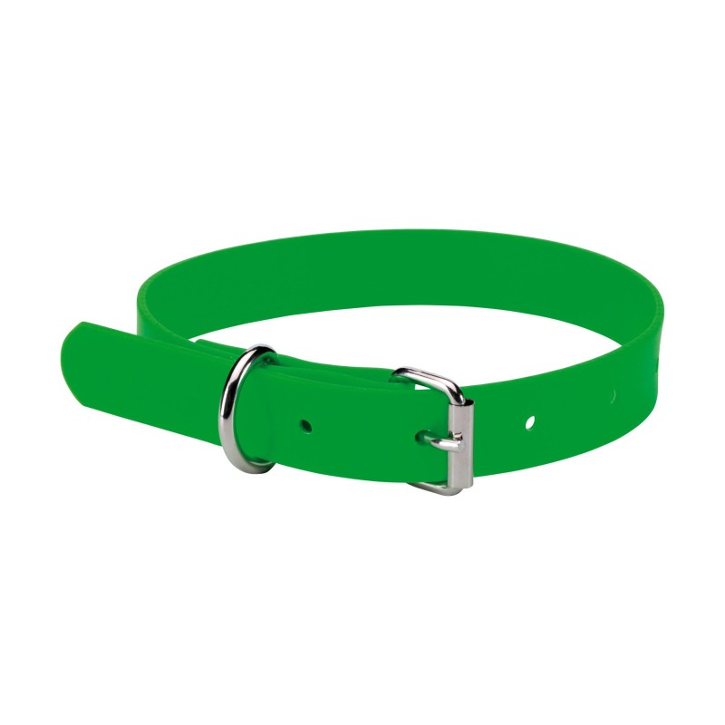 Collier renforcé pour chien : sécurité et confort