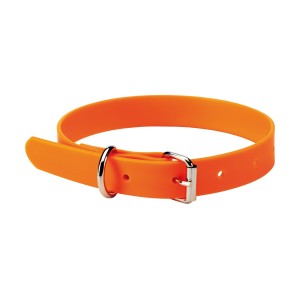 Collier renforcé pour chien : sécurité et confort