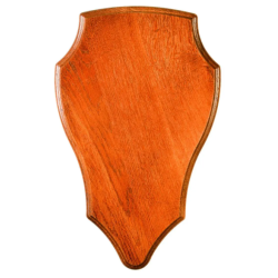 ECUSSON CHENE CERF 42x28cm