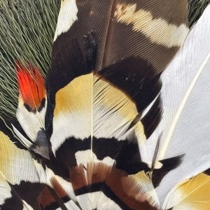 Broche Plumes & Chevreuil Georgine Glaenzer Grand modèle