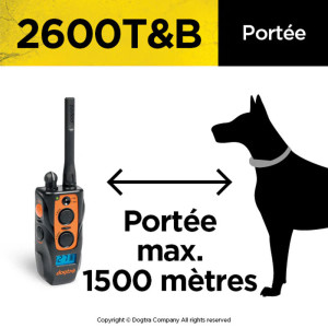 Dogtra 2600 T&B : Collier de dressage performant