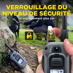 Collier Dogtra 640X pour Chasseurs - Performance et Confort
