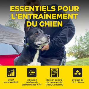 Collier Dogtra 640X pour Chasseurs - Performance et Confort