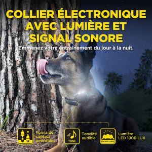 Collier Dogtra 640X pour Chasseurs - Performance et Confort