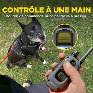 Collier Dogtra 640X pour Chasseurs - Performance et Confort