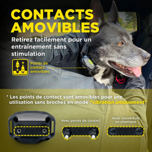 Collier Dogtra 640X pour Chasseurs - Performance et Confort