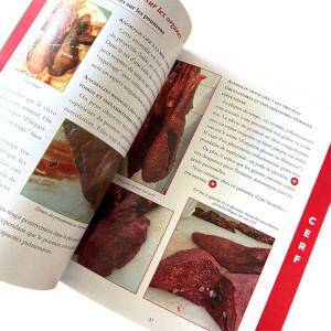 Manuel Gibier : Anomalies et Maladies