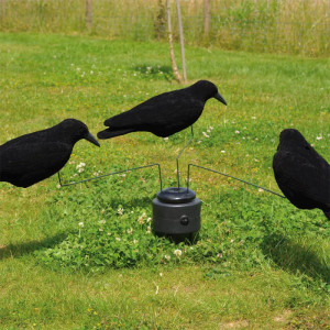 Manege 3 corbeaux pour une chasse réussie
