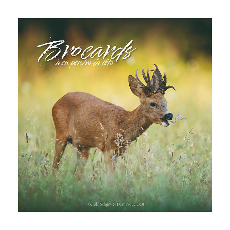 Livre Brocards à en perdre la tête