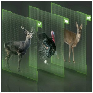 Reolink Go G770 : Caméra 4G sans fil idéale pour la chasse