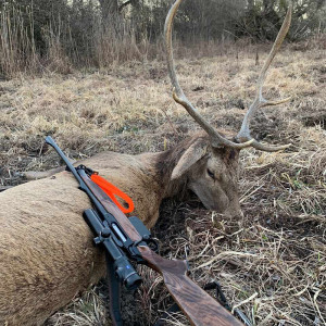Dragonne Orange Drivehunt Sauenhammer – Sécurité Chasse