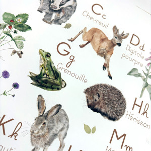 Apprendre l’alphabet tout en découvrant la richesse de la nature