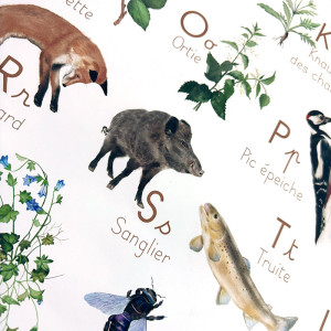 Apprendre l’alphabet tout en découvrant la richesse de la nature