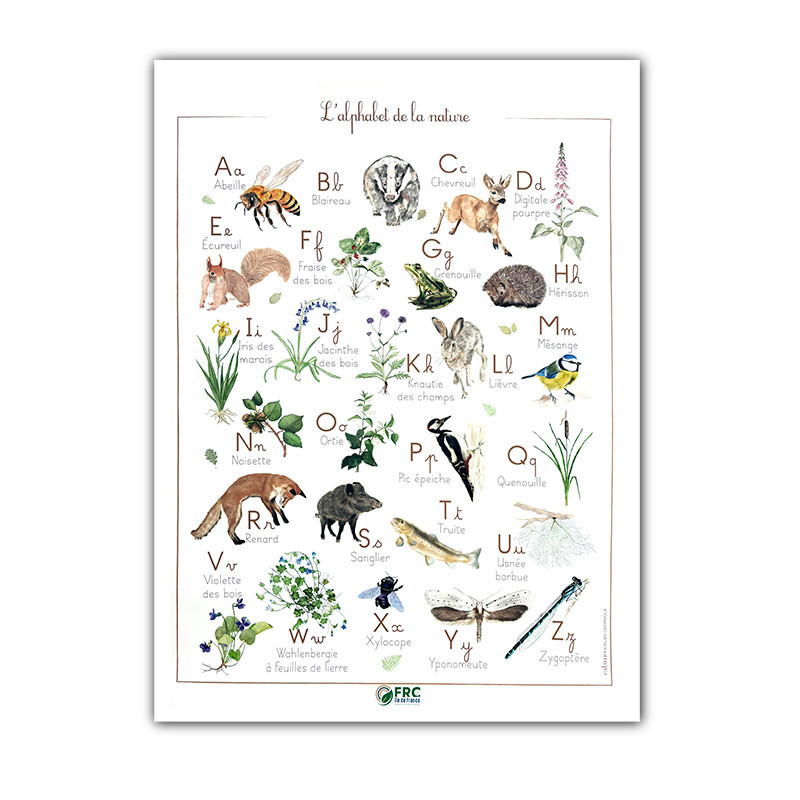 Apprendre l’alphabet tout en découvrant la richesse de la nature