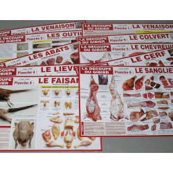 LOT DE 10 AFFICHES "SAVOIR...